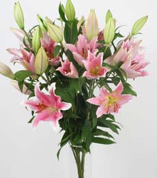  T�rkiye �i�ek g�nderme sitemiz g�venlidir  5 Pembe lilyum kazablanka buket �i�ek modeli