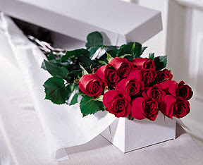  T�rkiye �i�ek yolla , �i�ek g�nder , �i�ek�i   �zel kutuda 12 adet g�l