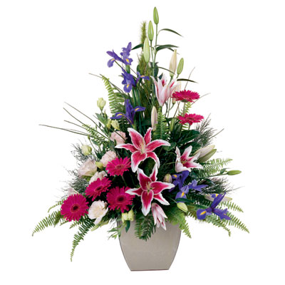  T�rkiye �i�ek�i ma�azas�  lilyum gerbera iris lilyum