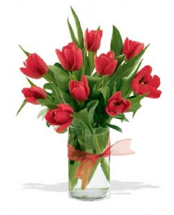  T�rkiye �i�ek�i ma�azas�  cam yada mika vazoda 10 adet �zel lale