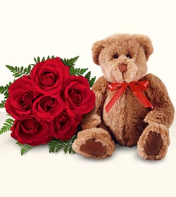  T�rkiye �i�ek�i ma�azas�  5 g�l ve orta boy ayicik