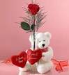  tek g�l ve oyuncak pelus  T�rkiye yurti�i ve yurtd��� �i�ek sipari�i 