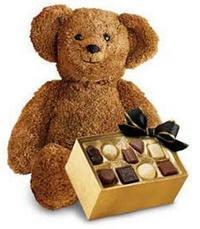 �ikolata ve oyuncak ayicik  T�rkiye �i�ek g�nderme sitemiz g�venlidir 