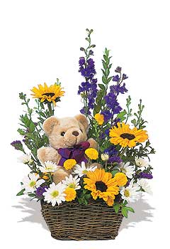 sepet kir �i�egi  pelus ayicik   T�rkiye ucuz �i�ek g�nder 