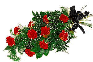 12 adet kirmizi karanfil   T�rkiye �i�ek g�nderme sitemiz g�venlidir 