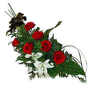 7 adet g�l ve kazablanka   T�rkiye �i�ek g�nderme sitemiz g�venlidir 