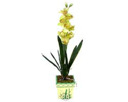 zel Yapay Orkide Sari  Trkiye iek servisi , ieki adresleri 