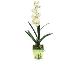 zel Yapay Orkide Beyaz   Trkiye iek online iek siparii 