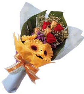 g�ller ve gerbera �i�ekleri   T�rkiye kaliteli taze ve ucuz �i�ekler 