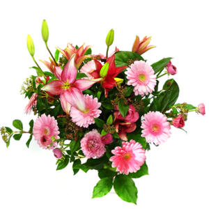 lilyum ve gerbera �i�ekleri - �i�ek se�imi -  T�rkiye yurti�i ve yurtd��� �i�ek sipari�i 