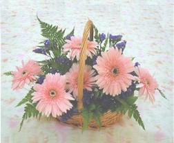gerbera �i�eklerinde sepet   T�rkiye g�venli kaliteli h�zl� �i�ek 