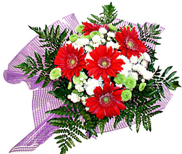 gerbera ve krizantem demeti  T�rkiye �i�ek g�nderme 