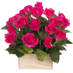 12 adet pembe g�llerden sepet tanzimi  T�rkiye hediye sevgilime hediye �i�ek 