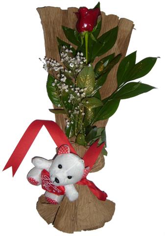  T�rkiye yurti�i ve yurtd��� �i�ek sipari�i  1 adet kirmizi g�l ve pelus oyuncak 