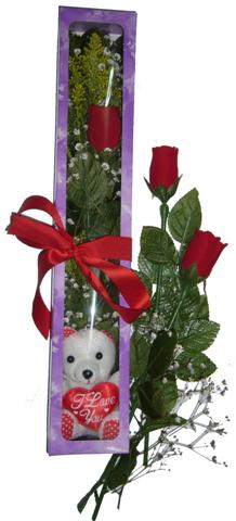  T�rkiye ucuz �i�ek g�nder  3 adet canli g�l ve oyuncak ayicik