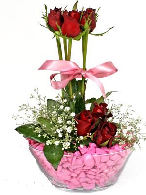 T�rkiye �i�ek ma�azas� , �i�ek�i adresleri  SEVIYORUM DIYENLER 7 kirmizi g�l tanzim 
