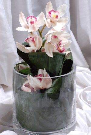 Trkiye ucuz iek gnder  Cam yada mika vazo ierisinde tek dal orkide