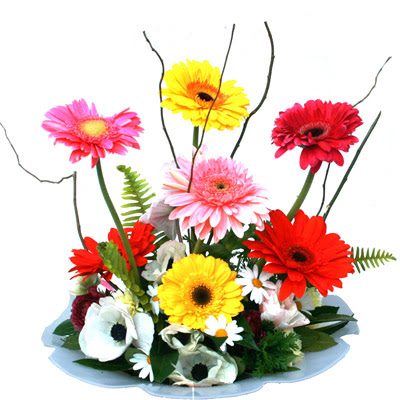  T�rkiye �i�ek yolla  camda gerbera ve mis kokulu kir �i�ekleri 