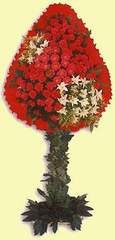  T�rkiye yurti�i ve yurtd��� �i�ek sipari�i  d�g�n a�ilis �i�ekleri  T�rkiye cicek , cicekci 