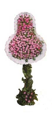  T�rkiye �i�ek g�nderme sitemiz g�venlidir  d�g�n a�ilis �i�ekleri  T�rkiye ucuz �i�ek g�nder 