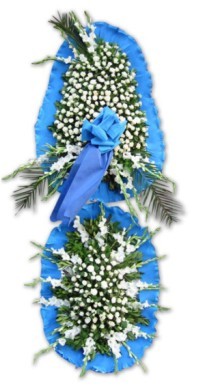  T�rkiye �i�ek�i ma�azas�  d�g�n a�ilis �i�ekleri  T�rkiye hediye �i�ek yolla 