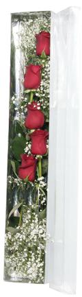  T�rkiye �i�ek�i telefonlar�   5 adet g�lden kutu g�ller