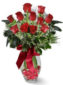 9 adet g�l  T�rkiye �i�ek sat���  kirmizi g�l 