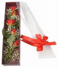 kutu i�inde 5 adet kirmizi g�l  T�rkiye ucuz �i�ek g�nder 