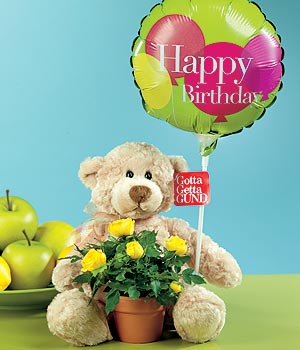  T�rkiye �i�ek g�nderme  Ayicik balon ve saksida sari g�ller