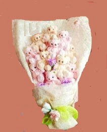 17 adet pelus ayilardan buket  T�rkiye �i�ek sipari�i sitesi 