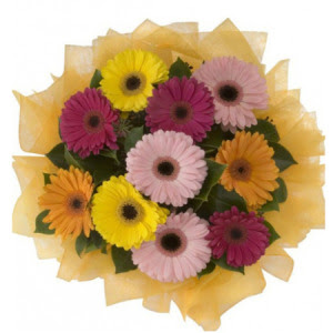  T�rkiye �i�ek ma�azas� , �i�ek�i adresleri  11 adet kar���k gerbera �i�e�i buketi