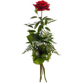  T�rkiye �i�ek online �i�ek sipari�i  1 adet k�rm�z� g�lden buket