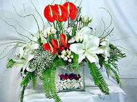  T�rkiye uluslararas� �i�ek g�nderme  Anthurim Kazablanka  g�l
