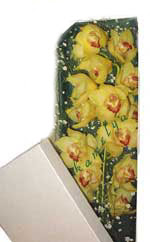  T�rkiye yurti�i ve yurtd��� �i�ek sipari�i  Kutu i�erisine dal cymbidium orkide