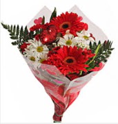 Mevsim �i�eklerinden g�rsel buket  T�rkiye �i�ek , �i�ek�i , �i�ek�ilik 
