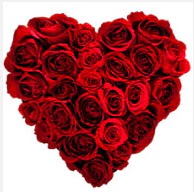  T�rkiye �i�ek�iler  19 adet k�rm�z� g�lden kalp tanzimi