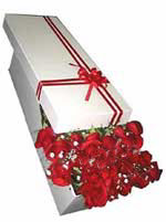  T�rkiye online �i�ek�i , �i�ek sipari�i  11 adet 1.kalite magnum g�ller