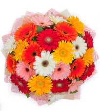 15 adet renkli gerbera buketi  T�rkiye hediye sevgilime hediye �i�ek 