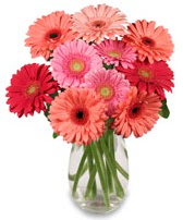 vazo i�erisinde 13 adet gerbera �i�e�i  T�rkiye �i�ek�i telefonlar� 