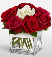 Tek a�k�ms�n �i�e�i 8 k�rm�z� 1 beyaz g�l  T�rkiye �i�ek�iler 