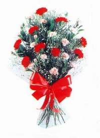  T�rkiye online �i�ek�i , �i�ek sipari�i  Karanfillerden g�zel bir demet