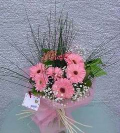 T�rkiye �i�ek yolla  Pembe gerbera mevsim �i�ekleri