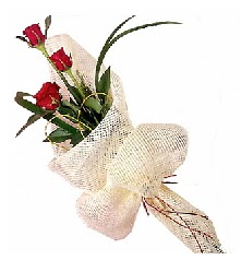3 adet k�rm�z� g�l buketi  T�rkiye anneler g�n� �i�ek yolla 