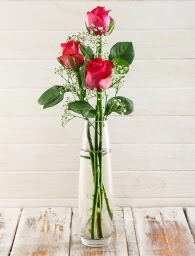 Cam i�erisinde 3 k�rm�z� g�l  T�rkiye �i�ek yolla , �i�ek g�nder , �i�ek�i  