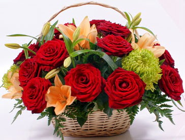 Sepette 5 adet k�rm�z� g�l ve k�r �i�ekleri  T�rkiye kaliteli taze ve ucuz �i�ekler  