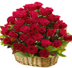 41 adet k�rm�z� g�l sepet i�erisinde  T�rkiye cicek , cicekci 