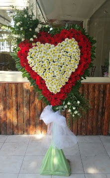 D���n Nikah pano �zel tanzimi  T�rkiye �i�ek sat��� 