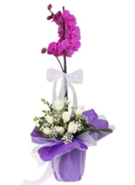 1 dal mor orkide ve 11 adet beyaz g�l  T�rkiye internetten �i�ek sipari�i 