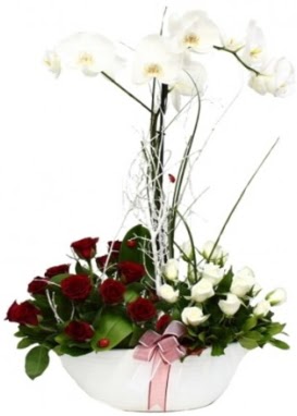 Tek dal beyaz orkide 8 beyaz 8 k�rm�z� g�l  T�rkiye �i�ek yolla , �i�ek g�nder , �i�ek�i  