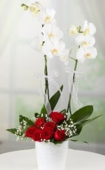 2 dall beyaz orkide 7 adet krmz gl  Trkiye internetten iek siparii 